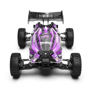 RLAARLO RC Buggy